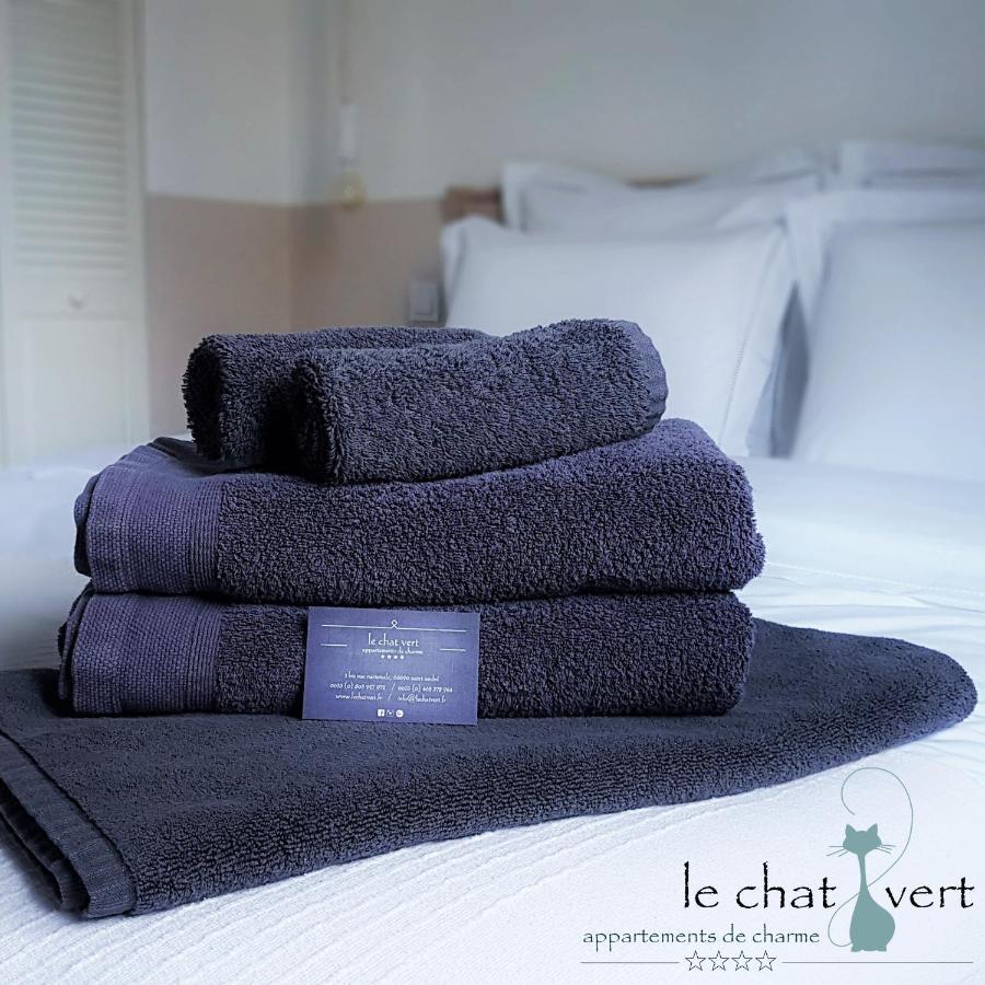 Le Chat Vert - Appartements Adults Only Saint-André Exterior foto